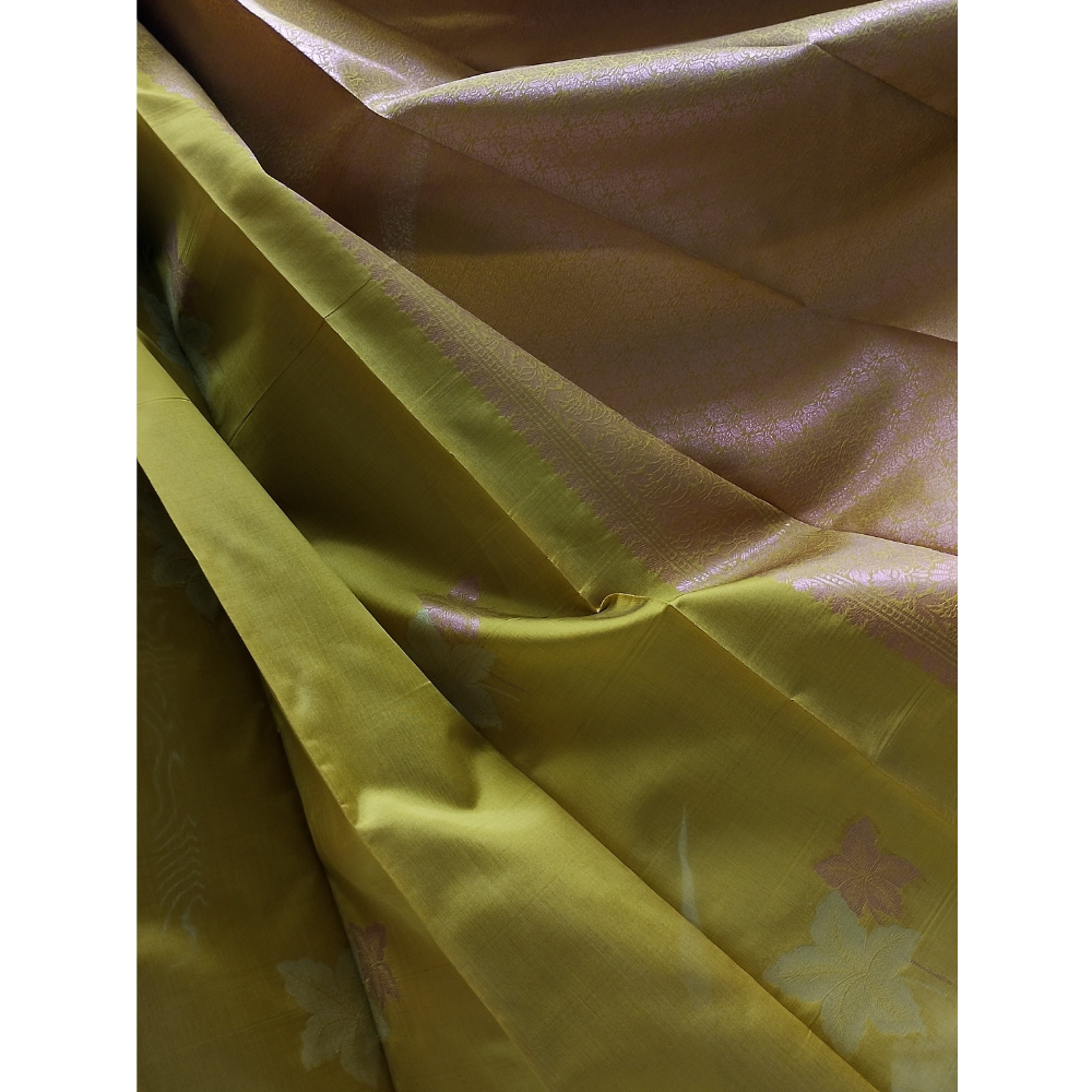 Mehandhi Green borderless Semi Silk Saree