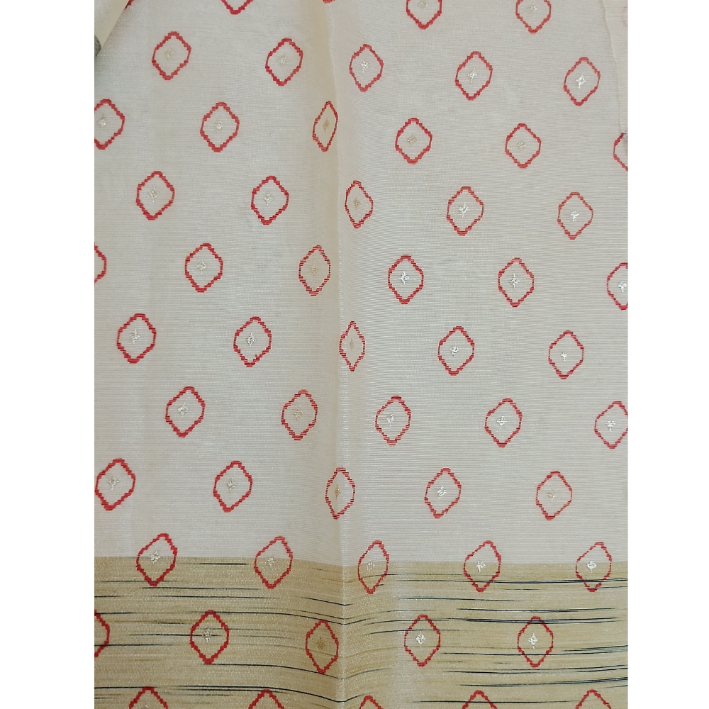 Half White Organza Saree