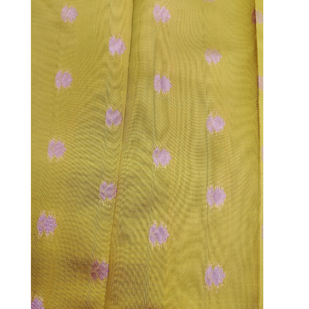 Mehandhi Green borderless Semi Silk Saree