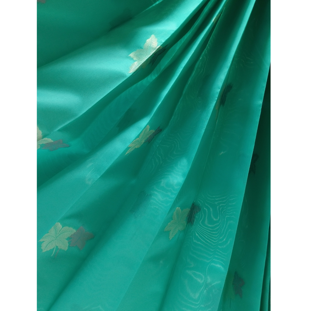 Aqua Green borderless Semi Silk Saree