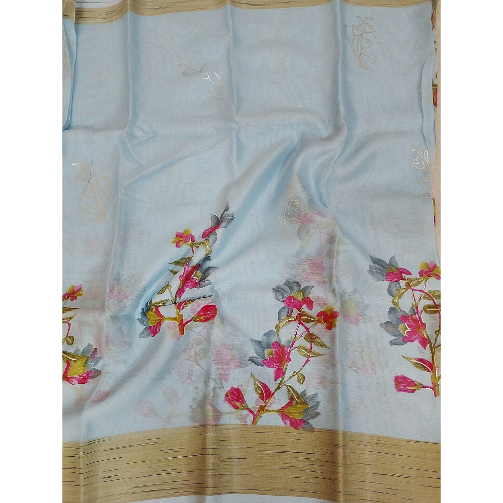 Light Blue Organza saree