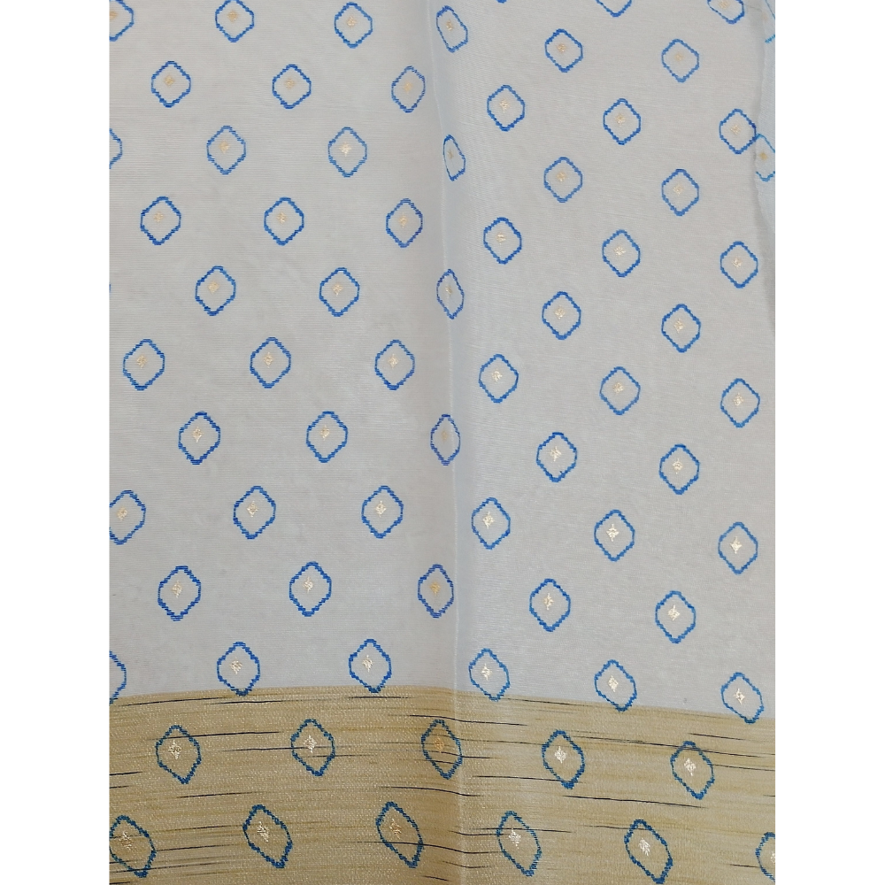 Light Blue Organza saree