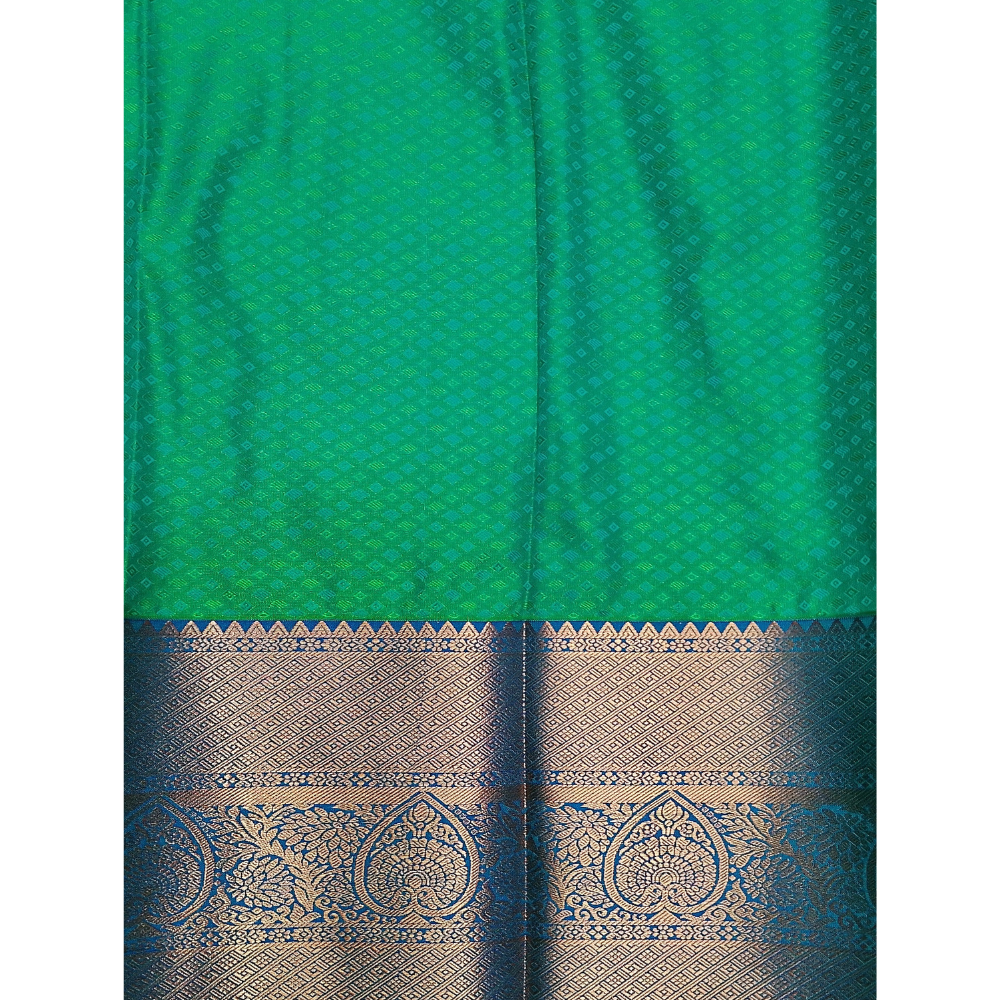 Green colour with blue border Semi Art Silk Saree