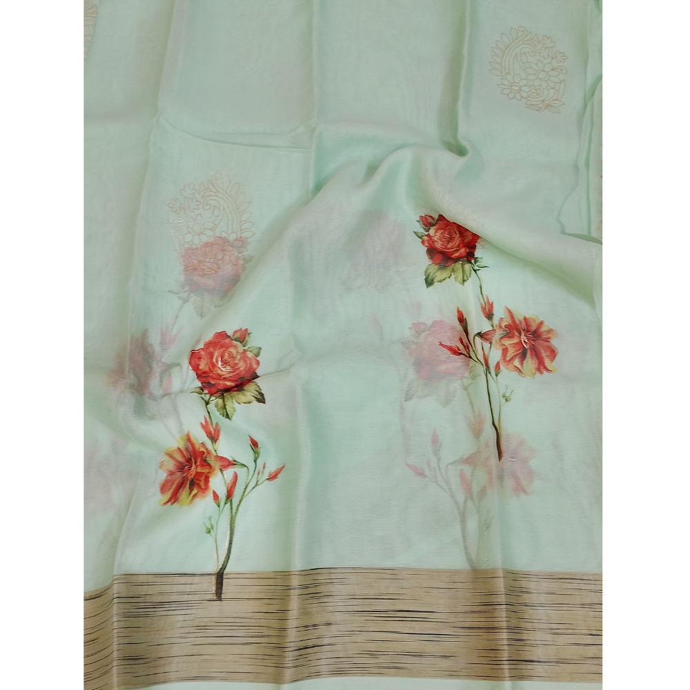Distemper Green Organza Saree