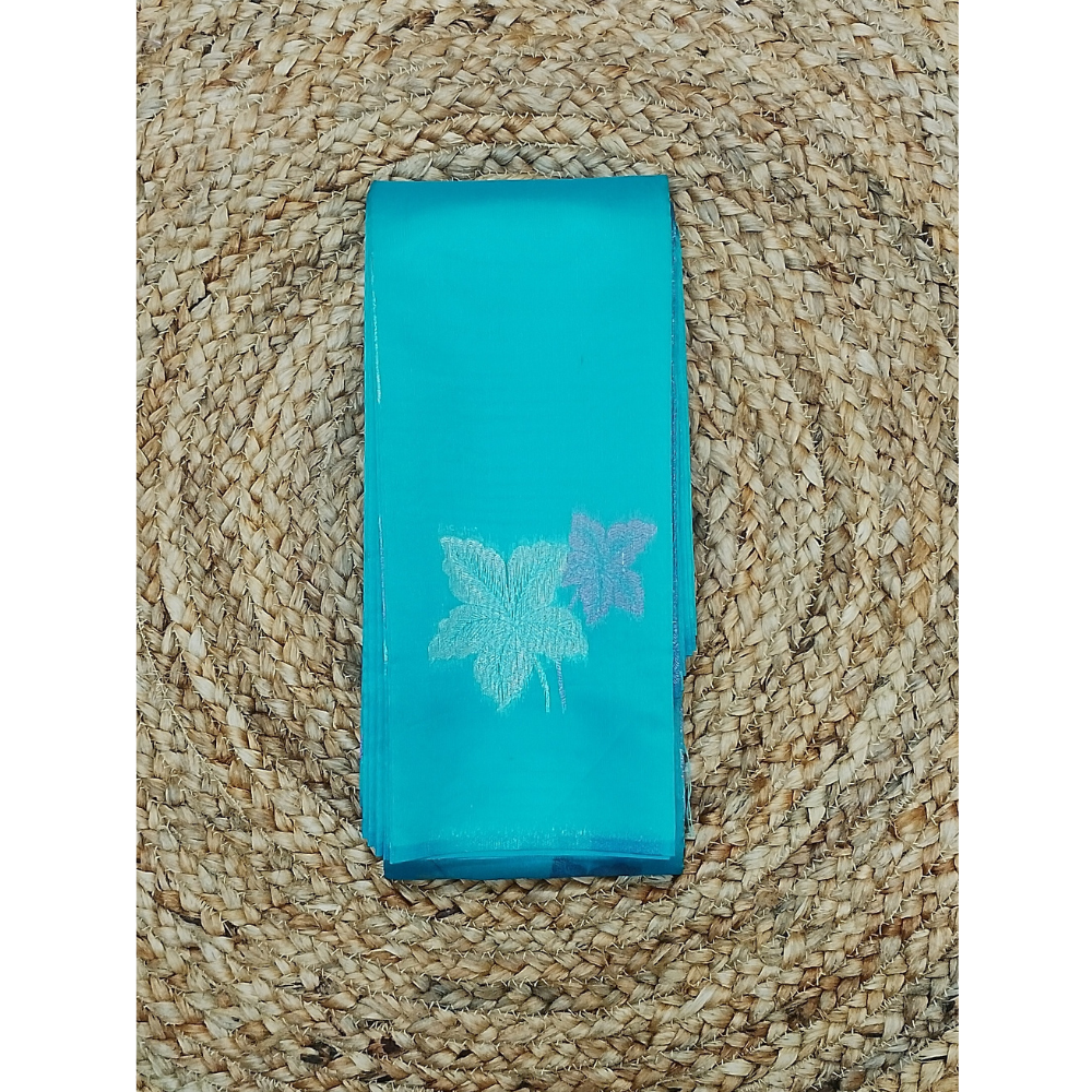 Aqua Green borderless Semi Silk Saree