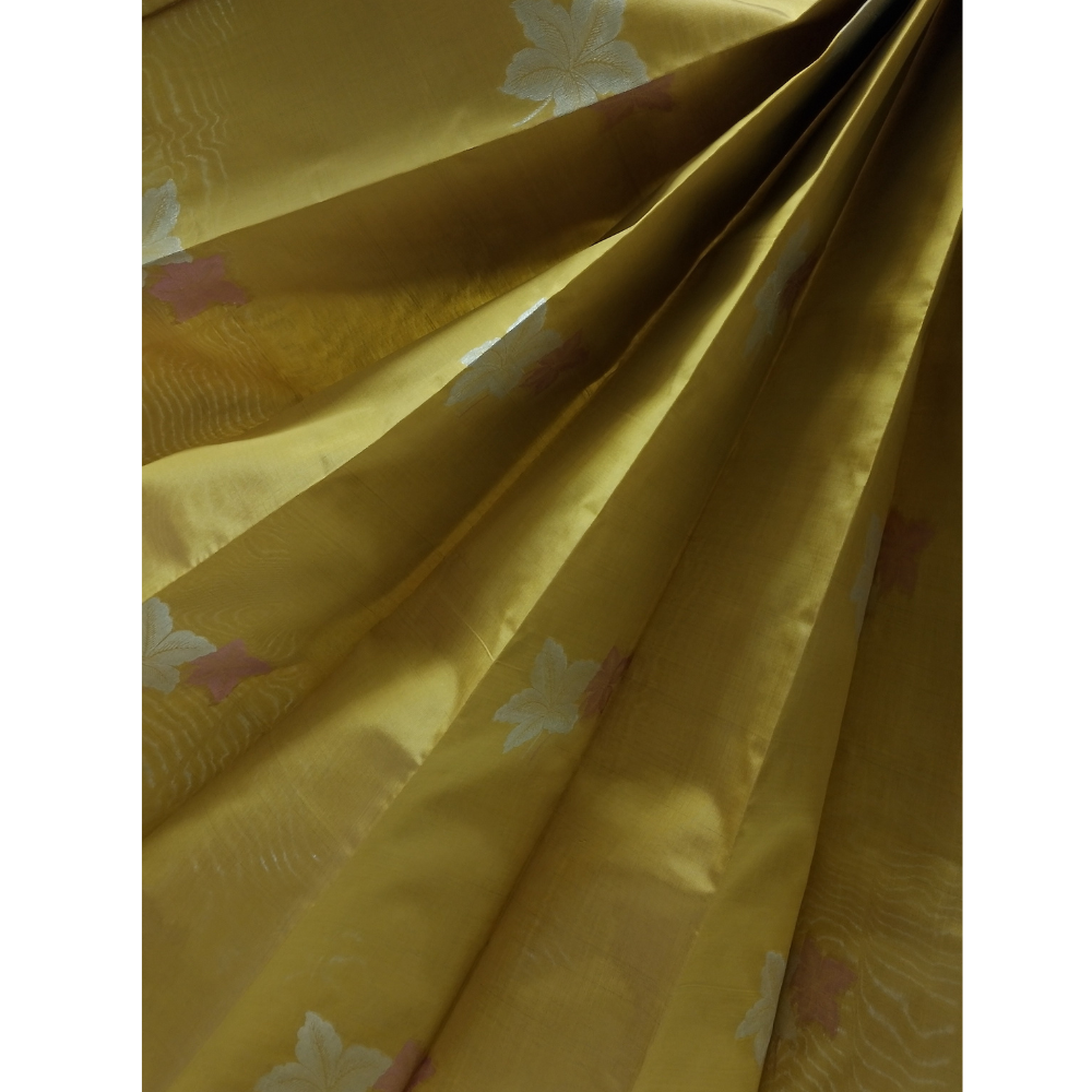 Mehandhi Green borderless Semi Silk Saree